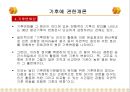 기후에 관한개론.ppt 13페이지