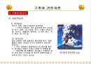 기후에 관한개론.ppt 15페이지