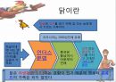 “닭” 유통,소비,마케팅전략,하림닭마케팅전략,닭마케팅,닭분석 2페이지