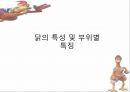 “닭” 유통,소비,마케팅전략,하림닭마케팅전략,닭마케팅,닭분석 4페이지