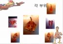 “닭” 유통,소비,마케팅전략,하림닭마케팅전략,닭마케팅,닭분석 10페이지