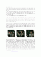 광고속 Mr. Man - 광고마케팅,광고전략사례,광고사례,마케팅,브랜드,브랜드마케팅,기업,서비스마케팅,글로벌,경영,시장,사례,swot,stp,4p 5페이지