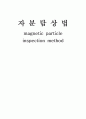 자분탐상법보고서 1페이지