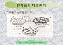 연제품.ppt 4페이지