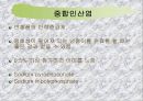 연제품.ppt 15페이지