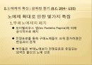 노예제를 통해본 로마사회의 구조  8페이지