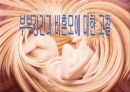 부부강간과 비혼모에 대한 고찰  1페이지
