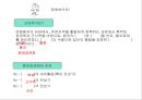 고대국가의 형성과 삼국의 발전  21페이지