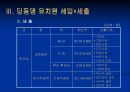 유치원 사업 계획서  6페이지