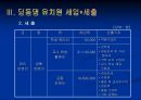 유치원 사업 계획서  7페이지