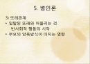 품행장애 (Conduct disorder)  31페이지