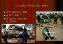 제2차 세계대전 이후  25페이지