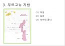 와인, 그 참을 수 없는 매력  12페이지