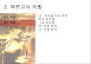 와인, 그 참을 수 없는 매력  14페이지