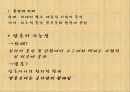 [학습지도안] 중2) 시민 혁명과 근대 사회의 성립 (통치구조와 정치활동 학습지도안) 23페이지