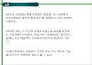 프랑스 문화권의 이해 프랑스의 미디어와 대중문화  12페이지