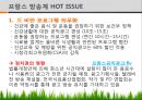 프랑스 문화권의 이해 프랑스의 미디어와 대중문화.ppt 12페이지