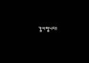 프랑스 패권시대가 독일에 미친 영향.ppt 18페이지