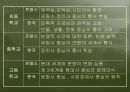 프랑스의 역사교육.ppt 11페이지