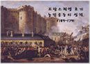 프랑스혁명 초기 농민운동의 성격, 1789-1791.ppt 1페이지