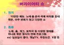 예능 프로그램의 언어적 특징 (버라이어티쇼) 3페이지