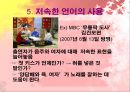 예능 프로그램의 언어적 특징 (버라이어티쇼) 17페이지
