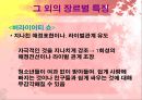 예능 프로그램의 언어적 특징 (버라이어티쇼) 18페이지