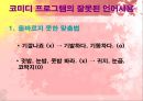 예능 프로그램의 언어적 특징 (버라이어티쇼) 30페이지