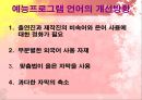 예능 프로그램의 언어적 특징 (버라이어티쇼) 34페이지