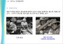 마케팅 경쟁전략 사례 - 박카스vs비타500 7페이지
