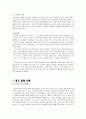다국적 광고의 국제적 유통  32페이지
