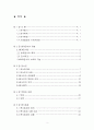 회계이론- 회계감사의 발전가능성 2페이지