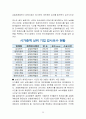 회계이론- 회계감사의 발전가능성 28페이지