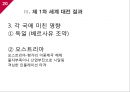 [국제관계의이해] 제 1차 세계대전.ppt 20페이지