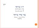 스위스 취리히 웨스트 2페이지