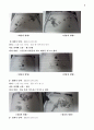 사례양식 5페이지