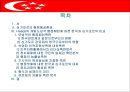 싱가포르의 행정체제 (HEADY 개도국 행정패턴) 2페이지