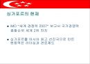 싱가포르의 행정체제 (HEADY 개도국 행정패턴) 4페이지