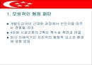 싱가포르의 행정체제 (HEADY 개도국 행정패턴) 9페이지
