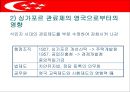싱가포르의 행정체제 (HEADY 개도국 행정패턴) 11페이지
