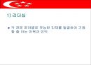 싱가포르의 행정체제 (HEADY 개도국 행정패턴) 14페이지