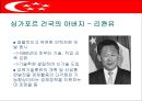 싱가포르의 행정체제 (HEADY 개도국 행정패턴) 16페이지