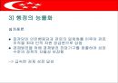 싱가포르의 행정체제 (HEADY 개도국 행정패턴) 18페이지