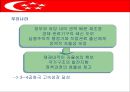 싱가포르의 행정체제 (HEADY 개도국 행정패턴) 19페이지