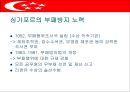싱가포르의 행정체제 (HEADY 개도국 행정패턴) 23페이지
