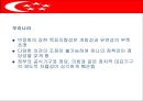 싱가포르의 행정체제 (HEADY 개도국 행정패턴) 26페이지
