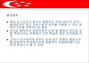 싱가포르의 행정체제 (HEADY 개도국 행정패턴) 28페이지