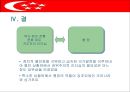 싱가포르의 행정체제 (HEADY 개도국 행정패턴) 32페이지