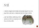 중국 전통술 제조공정 2페이지