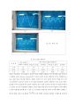 최대 전력전달 오실로스코프의 사용법 PSpice를 이용한 회로의 Simulation 8페이지